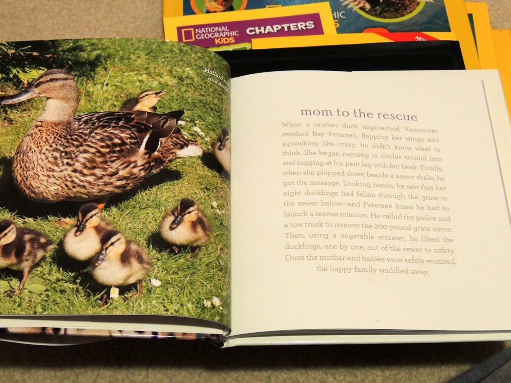 [DSCN6879%255B3%255D.jpg]