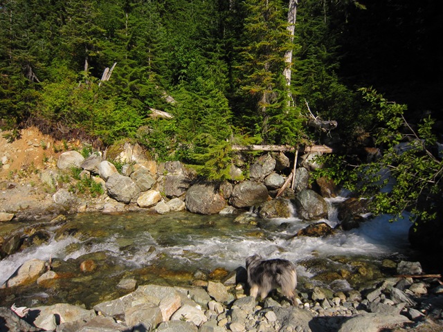 [IMG_56524.jpg]