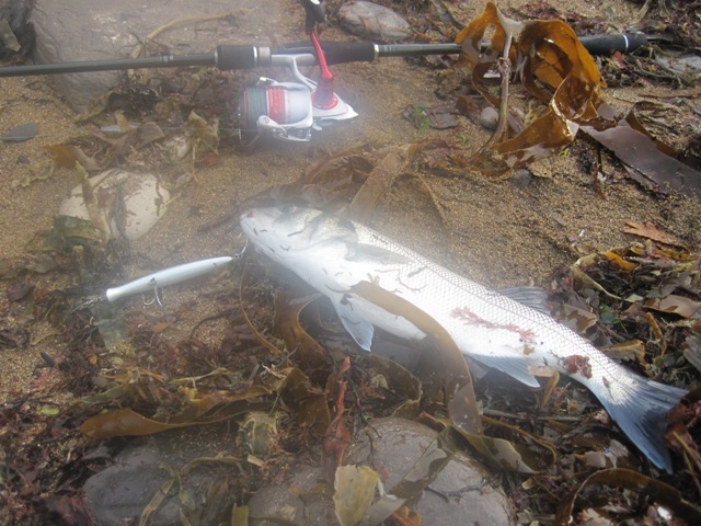 [IMG_0770%255B6%255D.jpg]