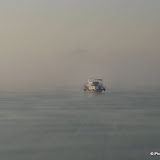 IMG_2166.jpg