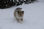 _DSC0031.JPG
