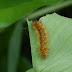 P1080159