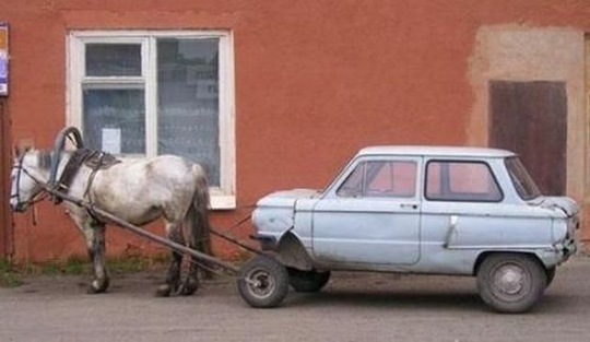 [viral-picdump-pics-20%255B2%255D.jpg]