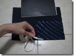 IMG_4528 IMG_4528