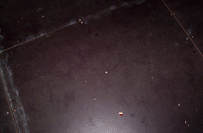 100_0353.jpg