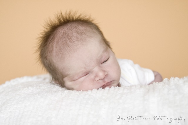 [noahblogimg_0158%255B7%255D.jpg]