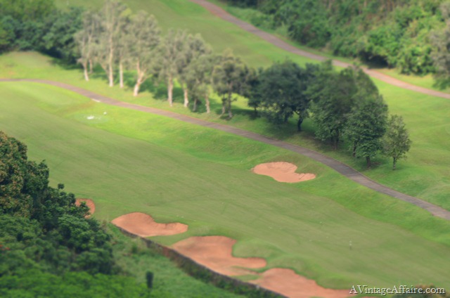 [DSC_0441%255B9%255D.jpg]