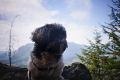 _MG_3188 copy