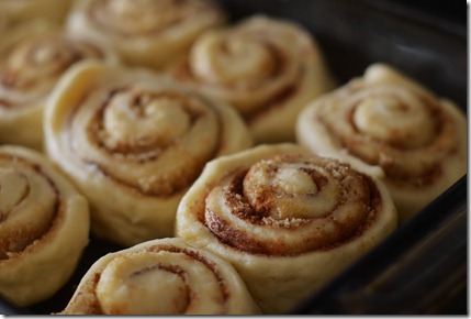 Cinnamon Rolls3