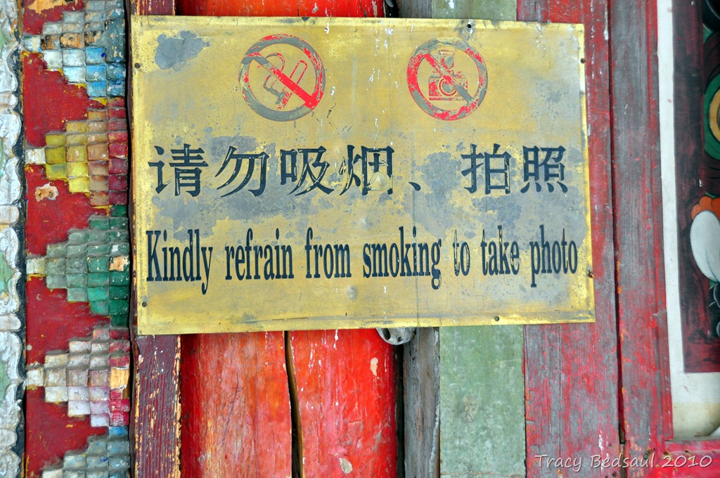 [DSC_583410.jpg]