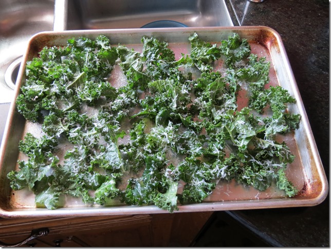 Kale ready to bake into chips