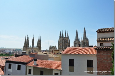 109-Burgos. Vistas desde el CAB - DSC_0300