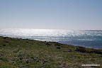 Ruta Costera Desierto Atacama