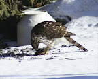 dsc03822_v2.jpg