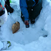 IMG_9469.JPG