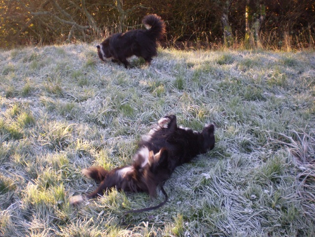 [frost%2520bath%2520Mack%255B3%255D.jpg]