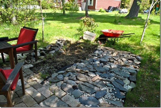 backyard_2011
