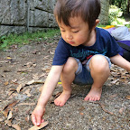 くれよん京都 5月025.jpg