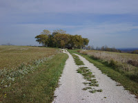 IMG00050-20111102-1402.jpg