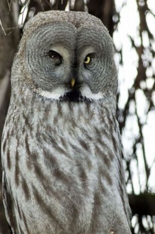 [funny-animals-cute-41%255B2%255D.jpg]