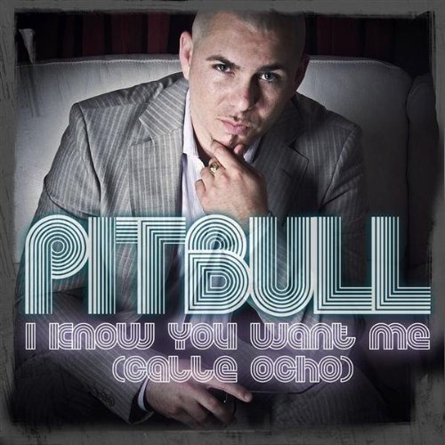 [i-know-you-want-me-cover-pitbull-rapper-24231689-500-500%255B16%255D.jpg]