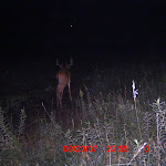 ICAM0013 (4).JPG