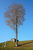 P1090633.JPG