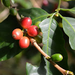 DSC_1132.JPG
