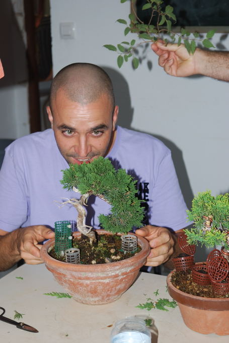 Juniperus itoigawa de Domingo Acebedo.
