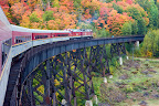 Agawa Canyon Fall Tour along one of many trestles.