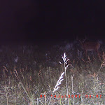 ICAM0044.JPG