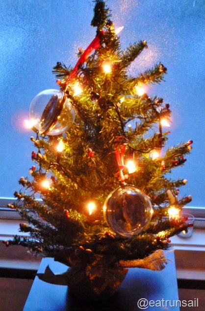 [Dec-7-2014-Christmas-trees-00310.jpg]