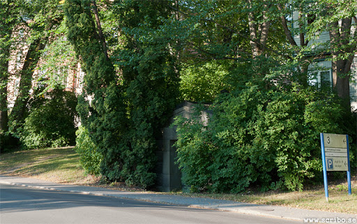 Likkällaren dold bakom buskar