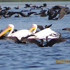 IMG_3832.JPG