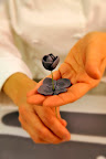 Depending on the size of the flower, Ana will add more or fewer layers of petals.