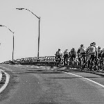 _MG_3103.jpg