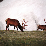 IMG_8407.JPG
