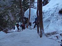 DSC00435.jpg