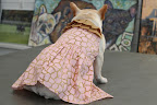 This classy pink dress is detailed with tan designs and tan ruffles around the neck.  It's classy and trendy and has a Velcro closure for easy dressing.