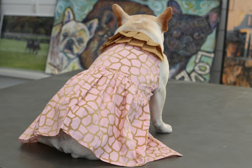 This classy pink dress is detailed with tan designs and tan ruffles around the neck. It's classy and trendy and has a Velcro closure for easy dressing. This classy pink dress is detailed with tan designs and tan ruffles around the neck. It's classy and trendy and has a Velcro closure for easy dressing.