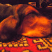 DSCN2476.JPG