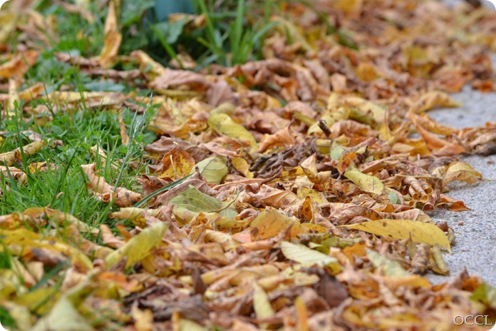DSC_4160 DSC_4160