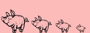 4 Pigs