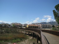 IMG_3126 IMG_3126