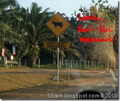 553046_10151324110409823_46271512_n