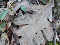 DSC02988_new.jpg