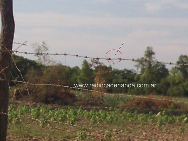[kdk_2605%2520detalle%252002%255B4%255D.jpg]
