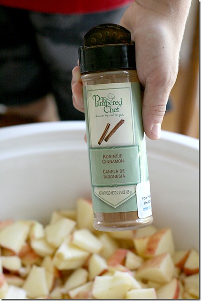 2 chop and sprinkle with cinnamon 2 chop and sprinkle with cinnamon