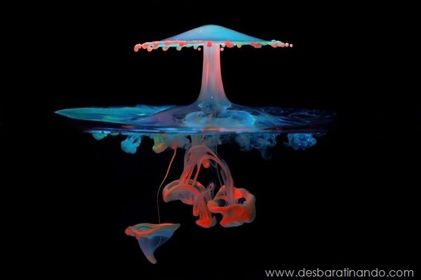 liquid-drop-art-gotas-caindo-foto-velocidade-hora-certa-desbaratinando (214) liquid-drop-art-gotas-caindo-foto-velocidade-hora-certa-desbaratinando (214)