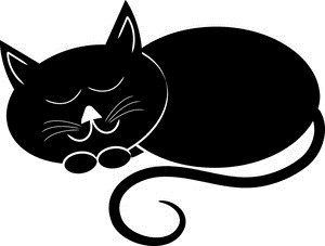 [black_cat_curled_up_sleeping_0515-10.jpg]